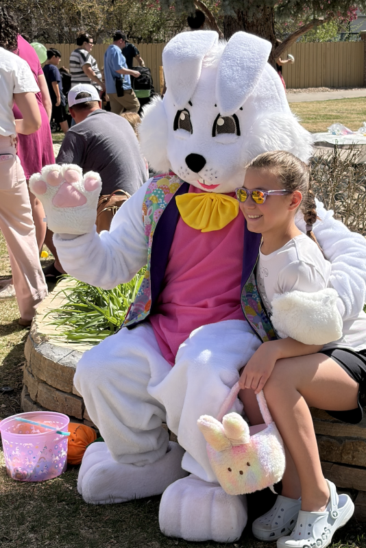 Rent Santa Claus or Hire the Easter Bunny to make your holiday special.