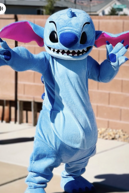 DIY Costume Rental