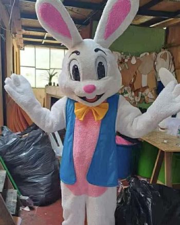 Hire or Rent a Easter Bunny 1
