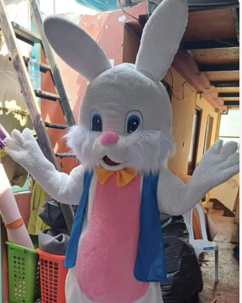 Hire or Rent a Easter Bunny 1