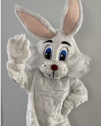 Hire or Rent Easter Bunny 3