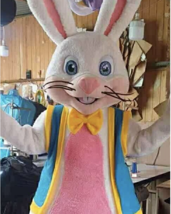 Hire or Rent Easter Bunnie 4
