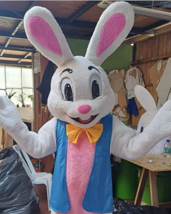 Hire or Rent Easter Bunny 4