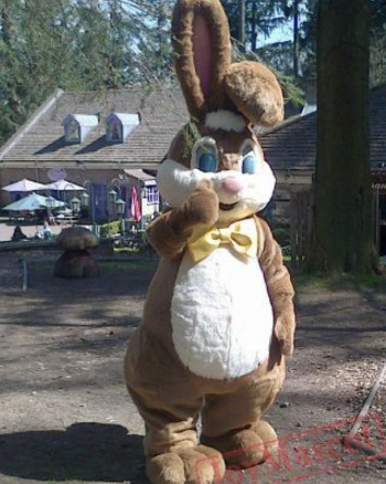 Hire or Rent a brown Easter Bunny