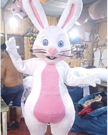 Hire or Rent an Easter Bunny 5