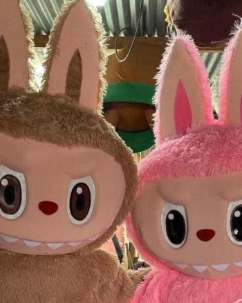  Rent or Hire a pink or brown Labubu costume