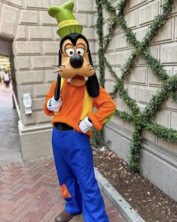 Hire or Rent a Goofy Character