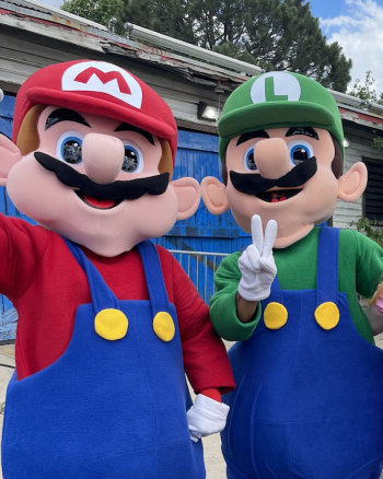  Hire or Rent a Luigi Character