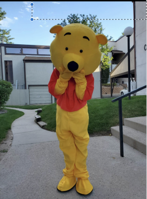 Hire or Rent a Yellow Bear Character