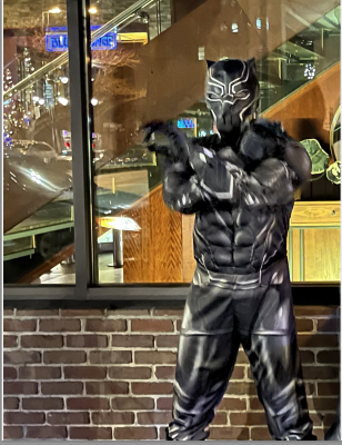 Hire a Black Panther Costume Character